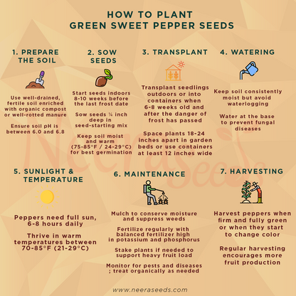 Green Sweet Pepper Seeds – Heirloom, Non-GMO Capsicum Seeds for Home Garden and Container Growing