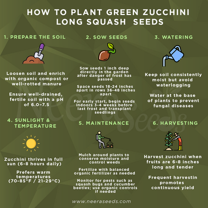 Green Round Zucchini Squash Seeds for Planting – Heirloom, Non-GMO, High-Yield Summer Vegetable Seeds