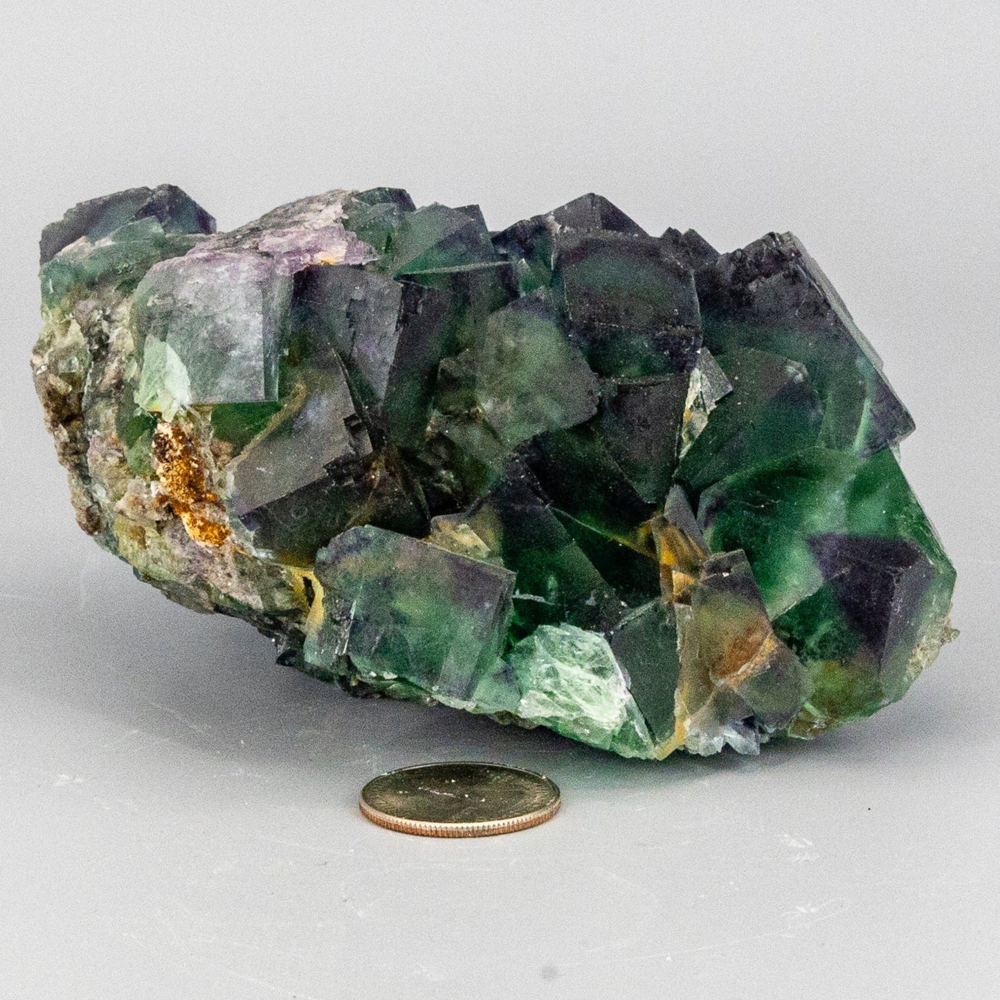 Green Cubed Fluorite with Purple Edged Cluster "XL"
