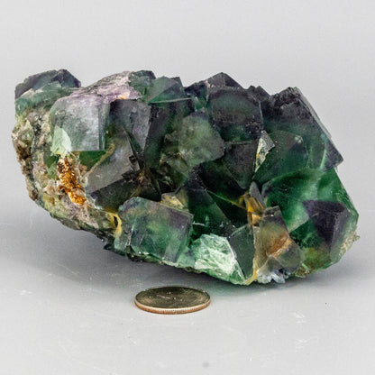 Green Cubed Fluorite with Purple Edged Cluster "XL"