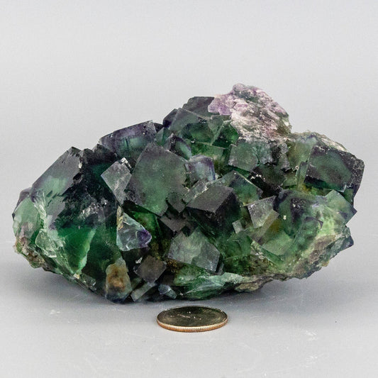 Green Cubed Fluorite with Purple Edged Cluster "XL"