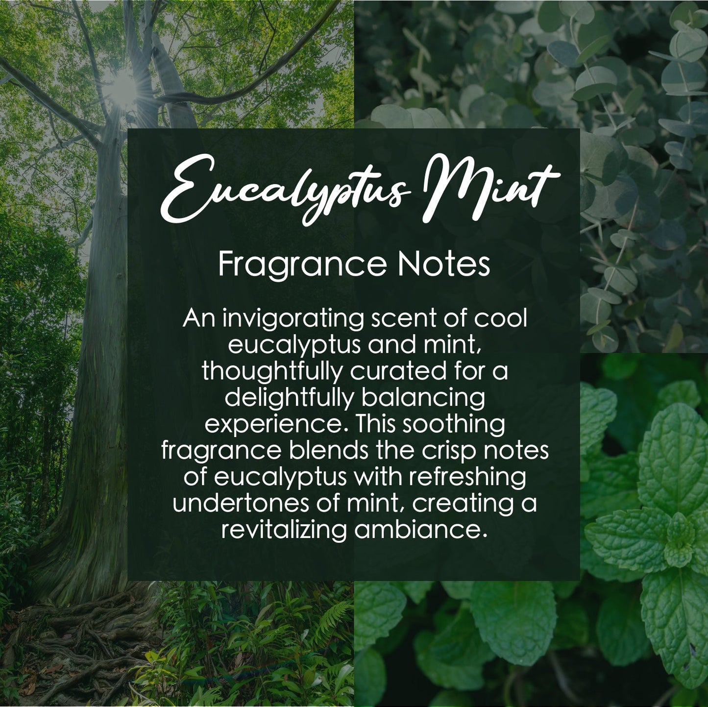 Eucalyptus Mint Crystal Candle with Garnet | Coconut-Soy Wax Candle, 9oz