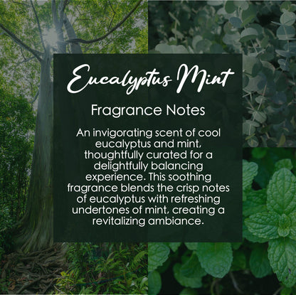 Eucalyptus Mint Crystal Candle with Garnet | Coconut-Soy Wax Candle, 9oz