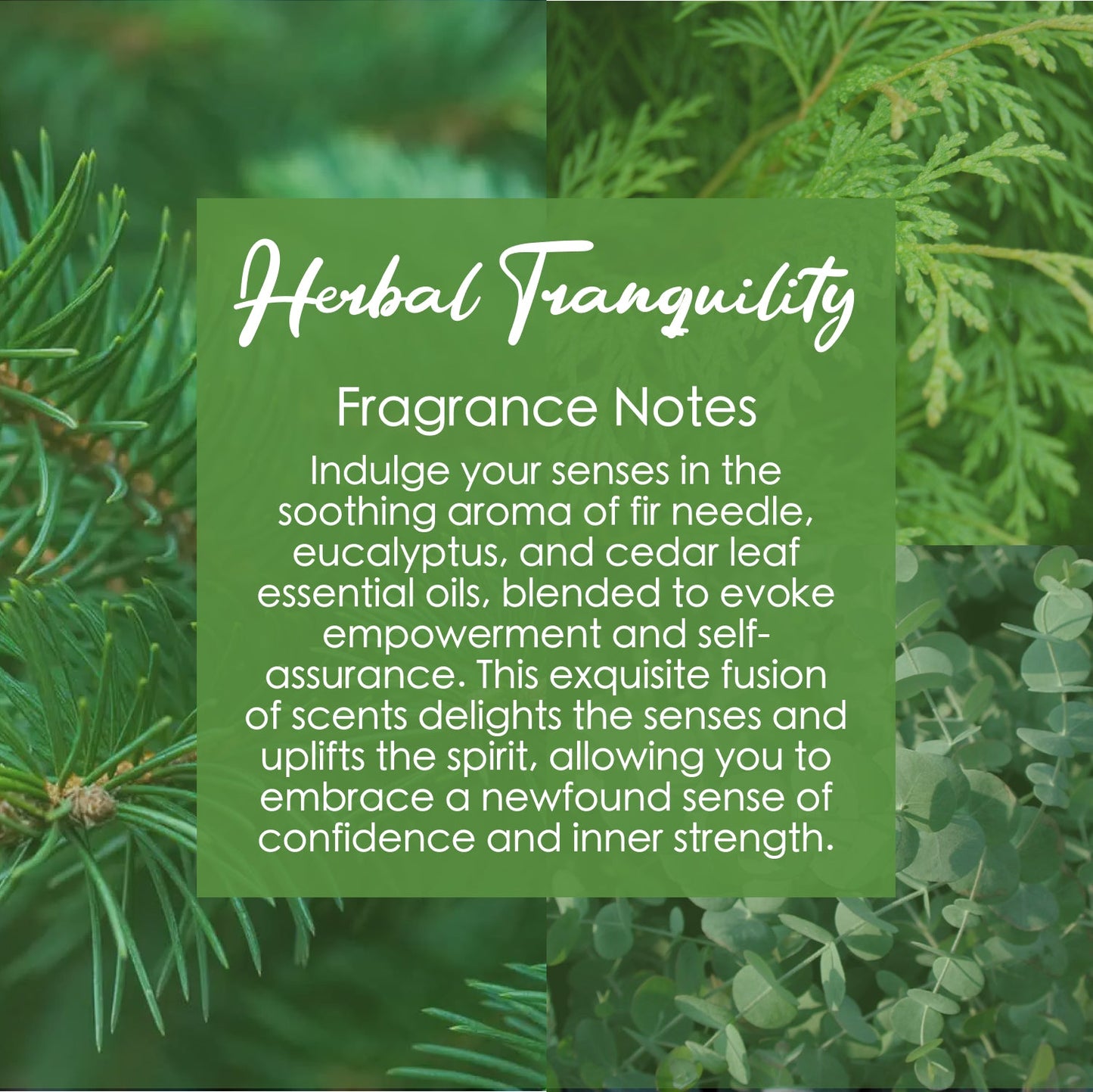 Herbal Tranquility Crystal Candle with Citrine | Coconut-Soy Wax Candle, 9oz