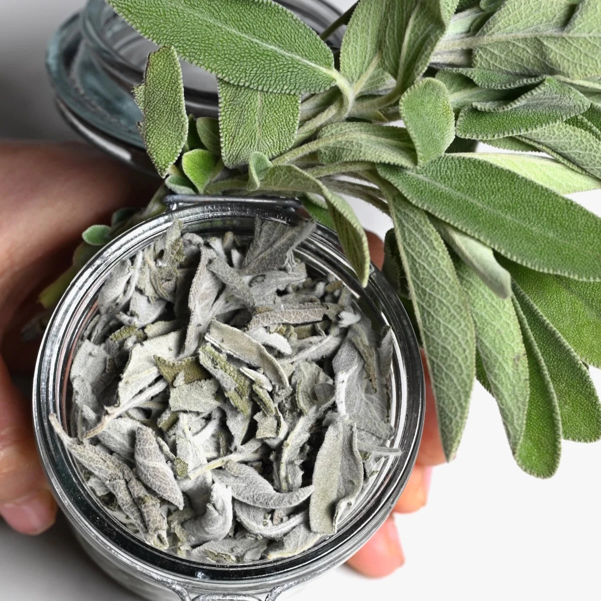 Spices/Herbs - For Ritual & Spell Work
