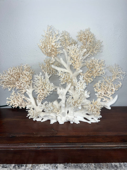 Vintage Staghorn & Lace Coral Sculpture- 29"