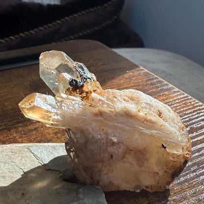 Kundalini Citrine Cluster with Guardian Hematite ✨🖤🦁