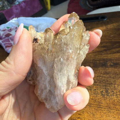 Kundalini Citrine Cluster with Crystal-Filled Cave ✨🔮🖤