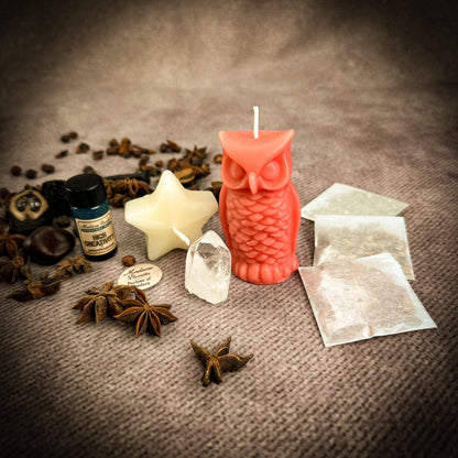 Wise Owl Wishing Star Candle Spell Kit - Wisdom & Success