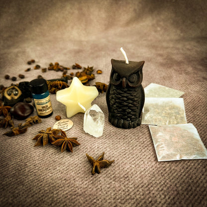 Wise Owl Wishing Star Candle Spell Kit - Wisdom & Success