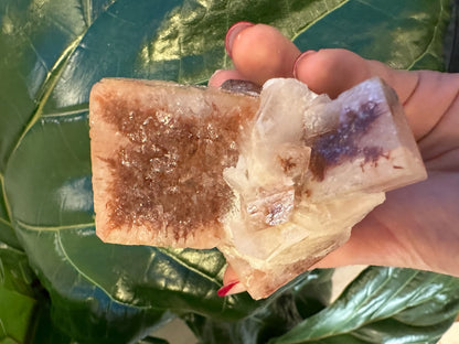 Red Apophyllite Cube (XL) from Pune, India