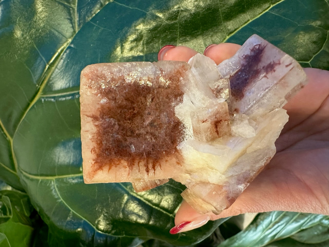 Red Apophyllite Cube (XL) from Pune, India