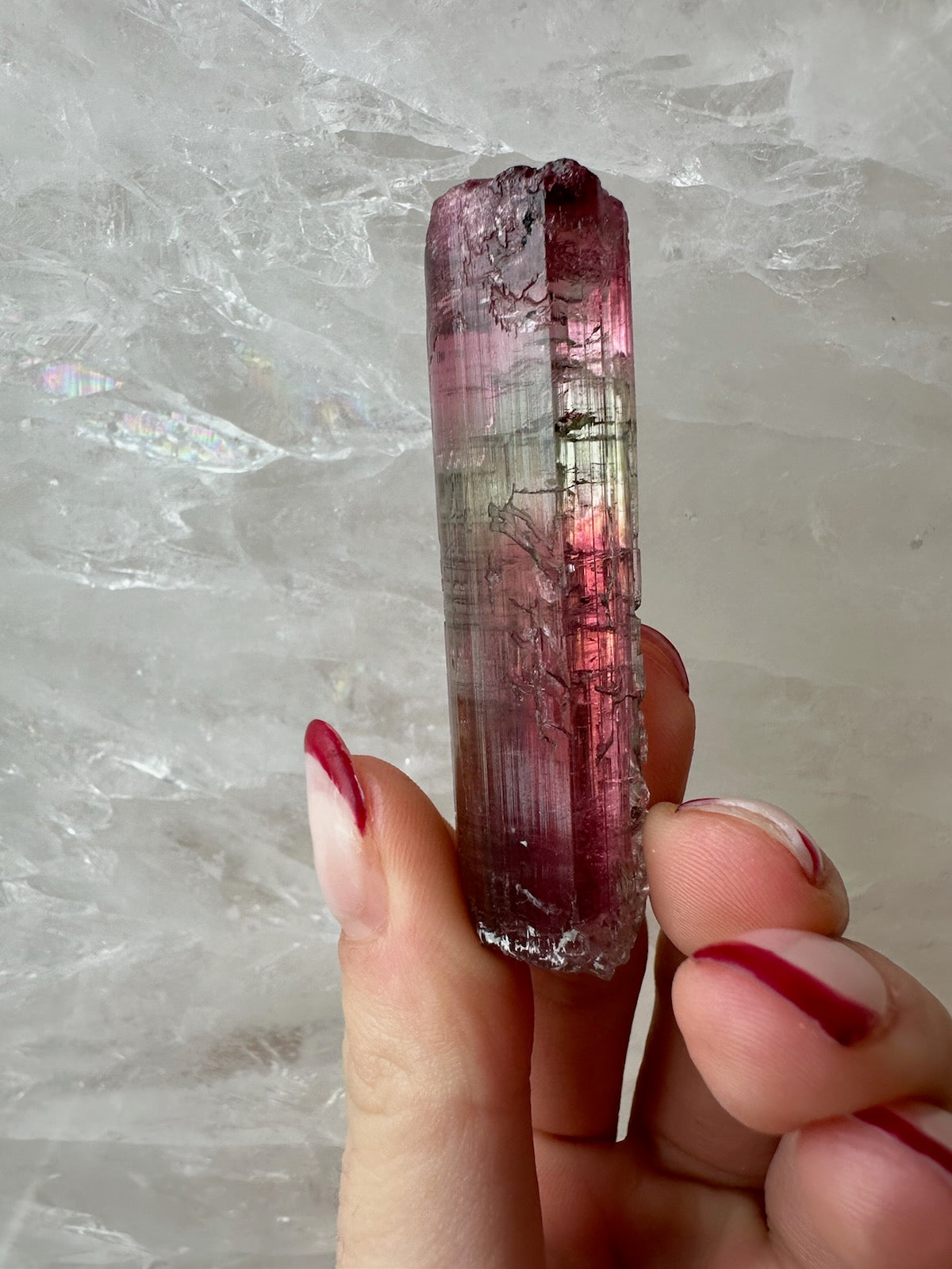 LARGE Gemmy Watermelon Tourmaline from Brazil