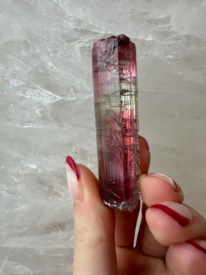 LARGE Gemmy Watermelon Tourmaline from Brazil