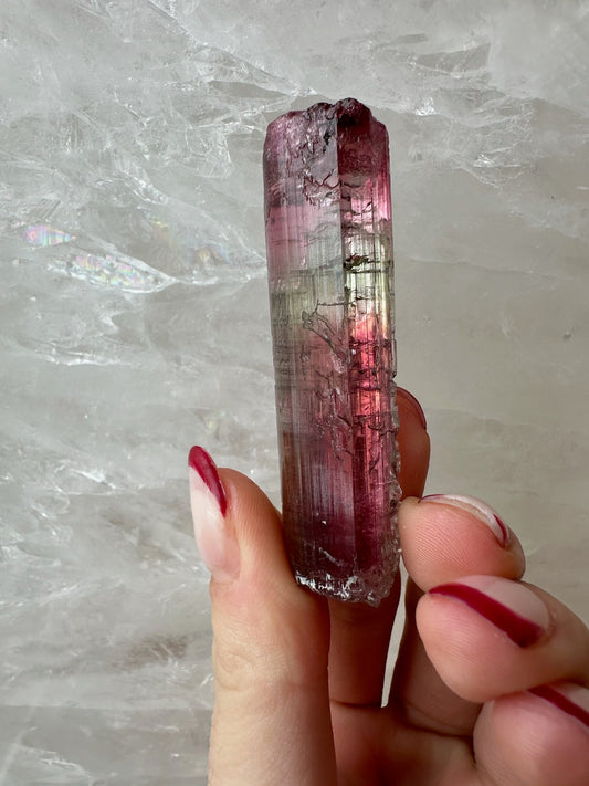 LARGE Gemmy Watermelon Tourmaline from Brazil