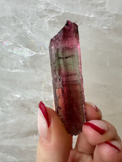 LARGE Gemmy Watermelon Tourmaline from Brazil