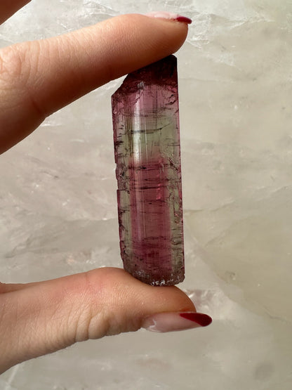 LARGE Gemmy Watermelon Tourmaline from Brazil
