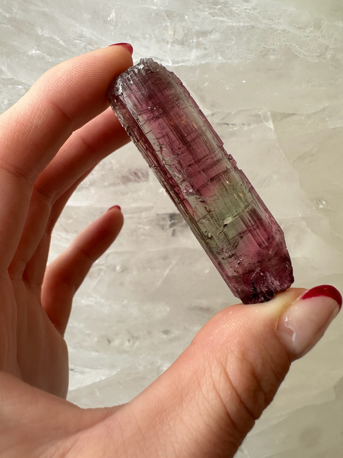 LARGE Gemmy Watermelon Tourmaline from Brazil