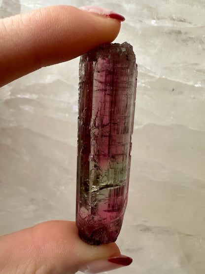 LARGE Gemmy Watermelon Tourmaline from Brazil