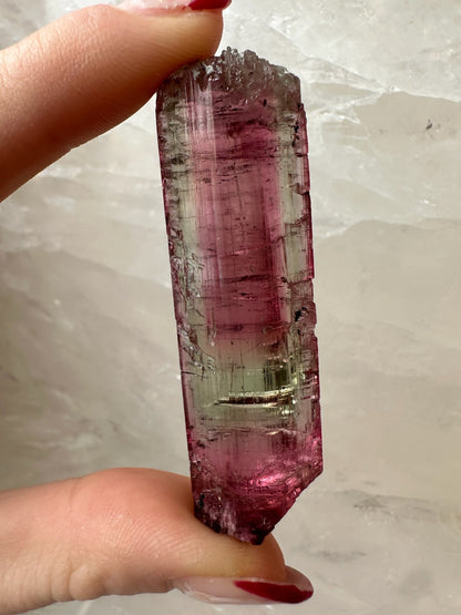 LARGE Gemmy Watermelon Tourmaline from Brazil