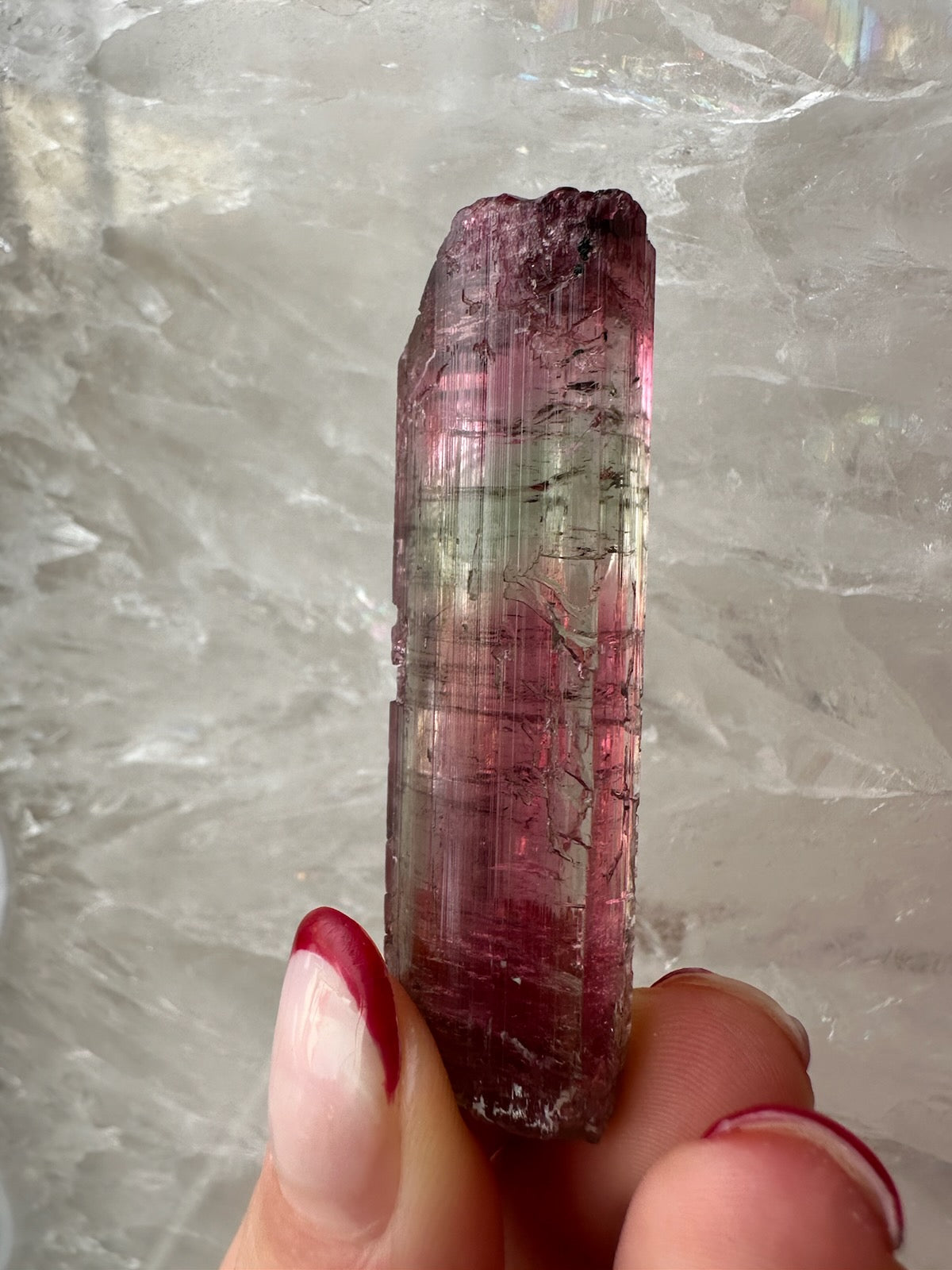 LARGE Gemmy Watermelon Tourmaline from Brazil