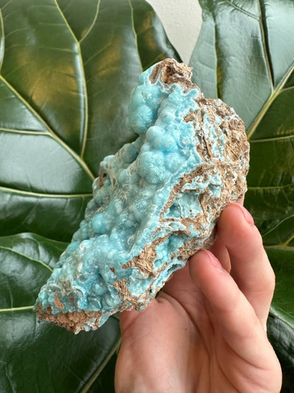 Botryoidal Blue Hemimorphite 0.5 kg