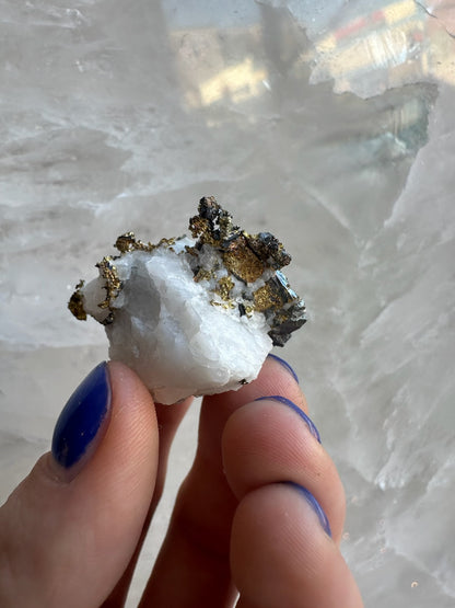 Crystalline Gold with Arsenopyrite on Quartz Sierra Co., Alleghany, California