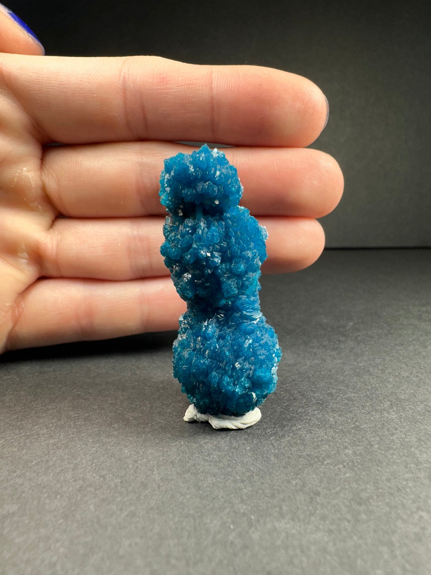 Cavansite Rosettes from Pune, Maharashtra, India