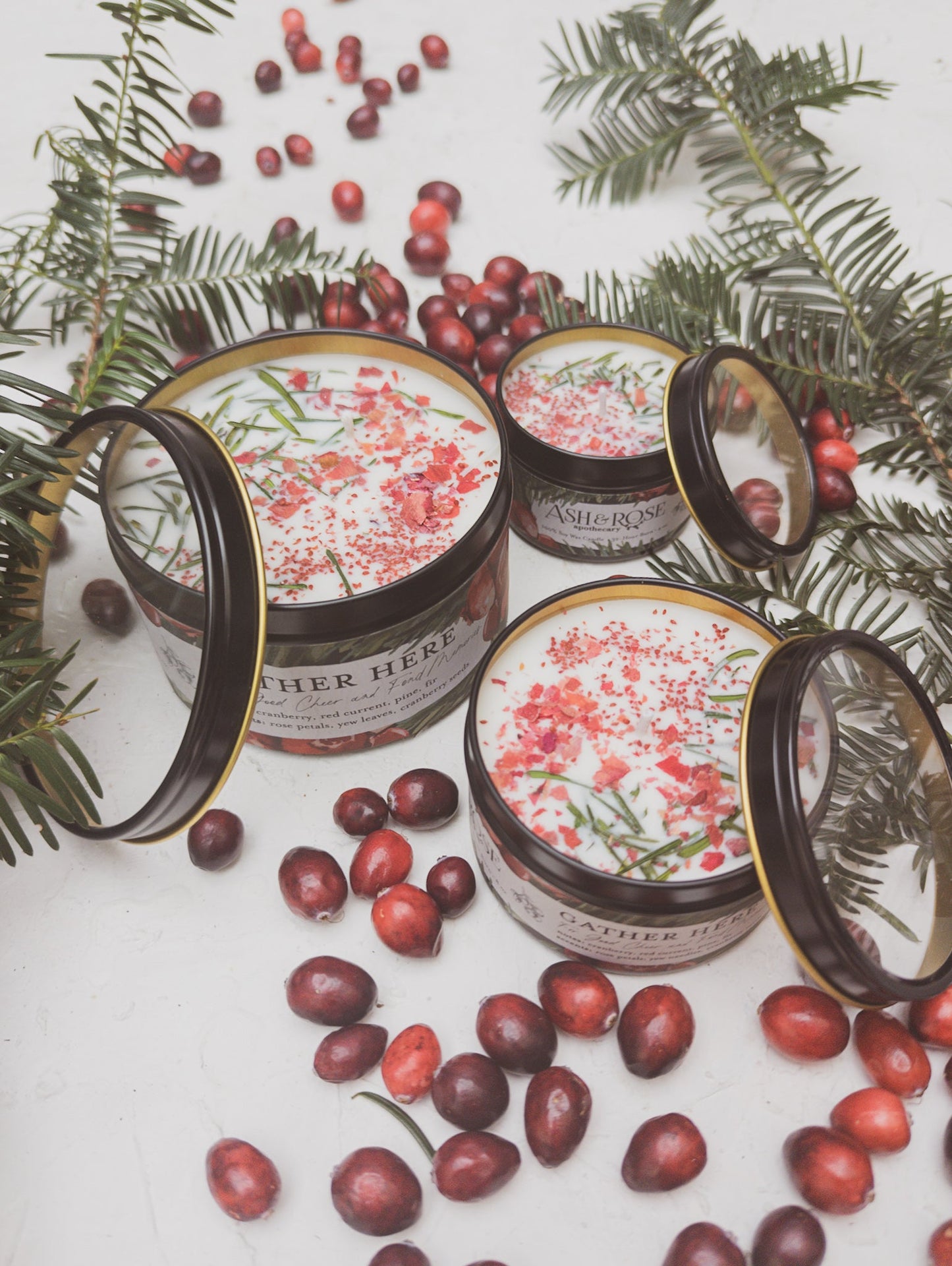 Cranberry Pine 4oz Tin Candle