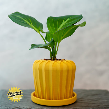 Lunar Bloom Plant Pot