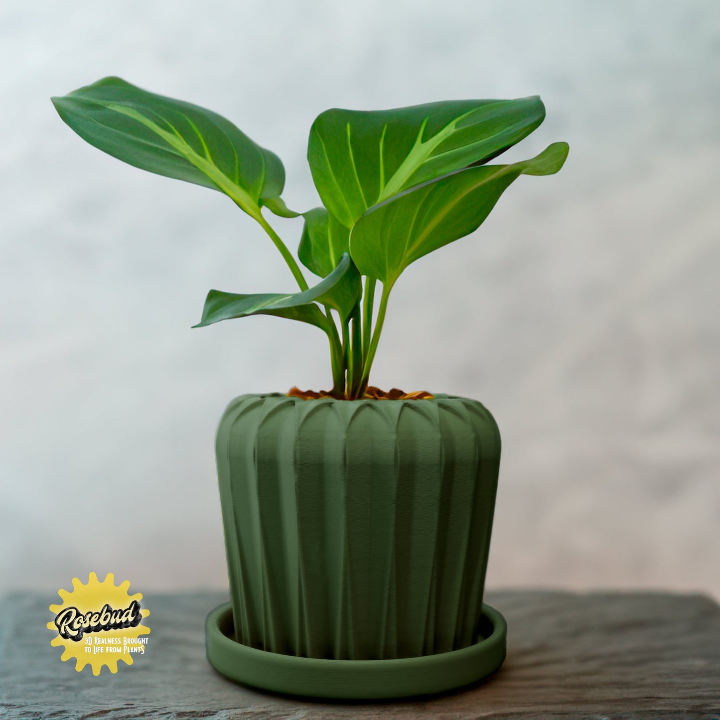 Lunar Bloom Plant Pot