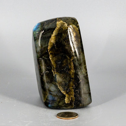 Labradorite "XL" High Flash Freeform