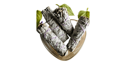 White Sage & Lavender - 4" Sustainably Harvested