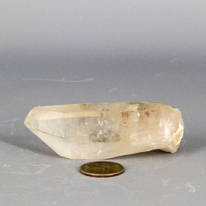 Lemurian Seed Quartz Point