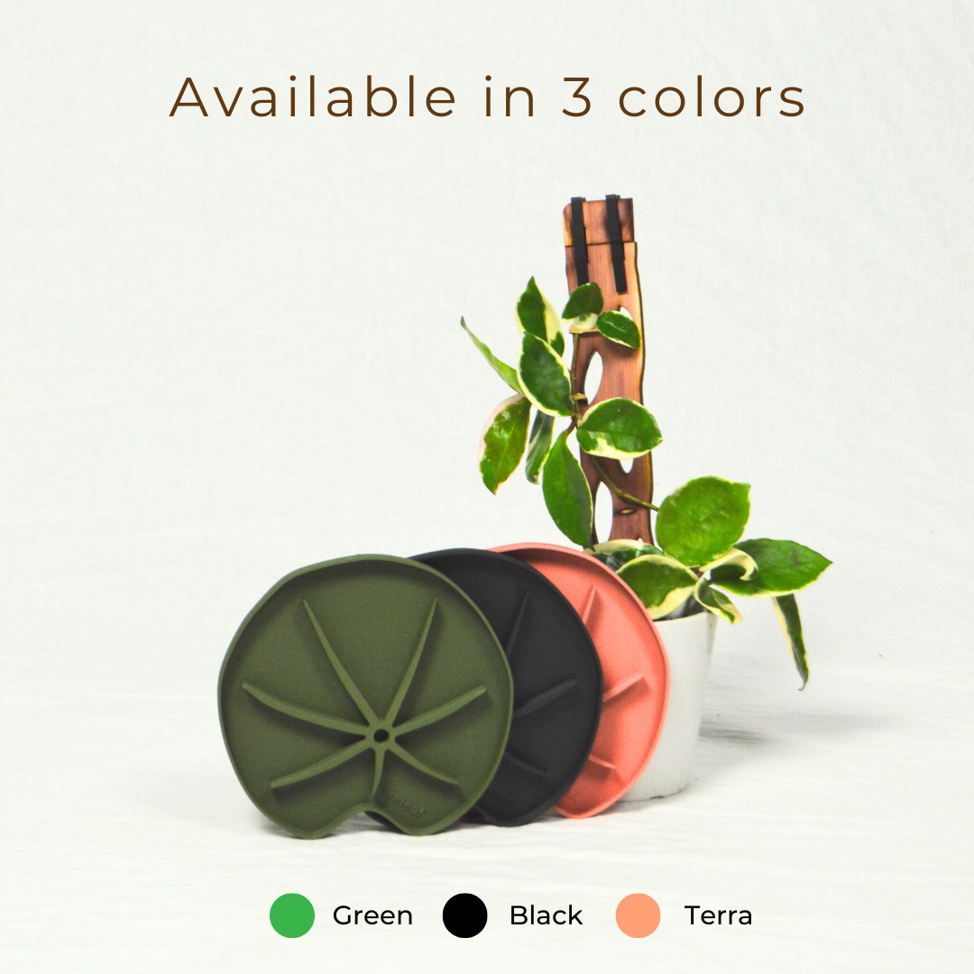 Lili Sausr - Lilly pad shaped Saucer - Spill tray - Drip tray for houseplants - Humidity tray