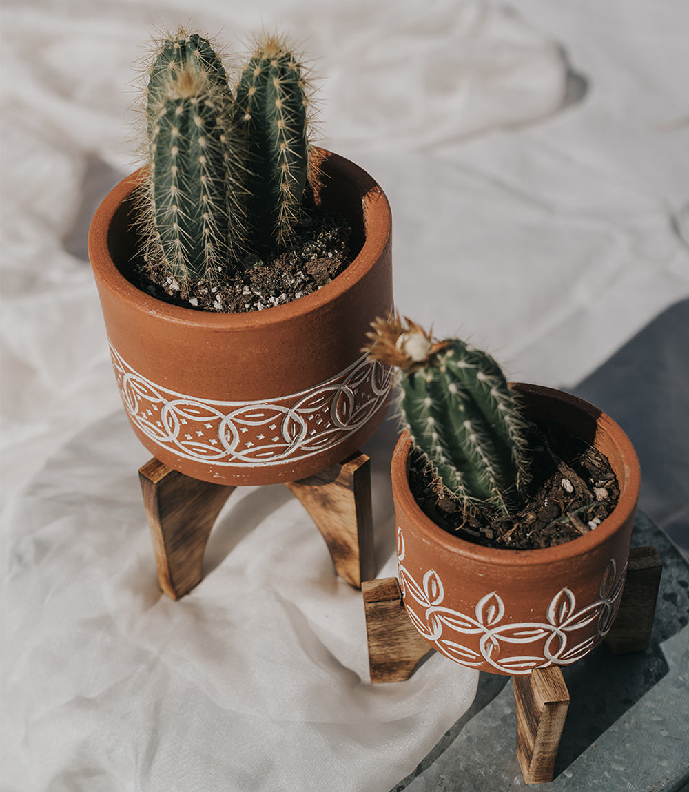 Daksha Terracotta Plant Pot with Wood Stand - Small