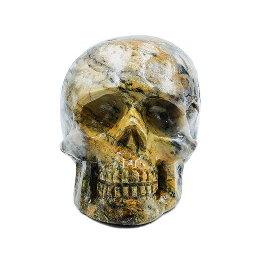 Hand-Carved Bumblebee Jasper Skull 2,550 cts - 1 Piece