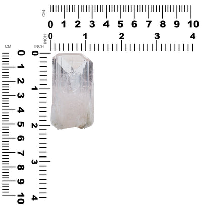 Starborn Danburite Crystal Collector's Corner Specimen 203 cts - 1 Piece