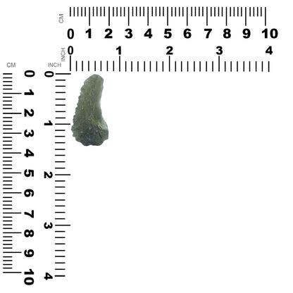 Starborn Rough Moldavite Collector's Corner Specimen 25.5 cts - 1 Piece