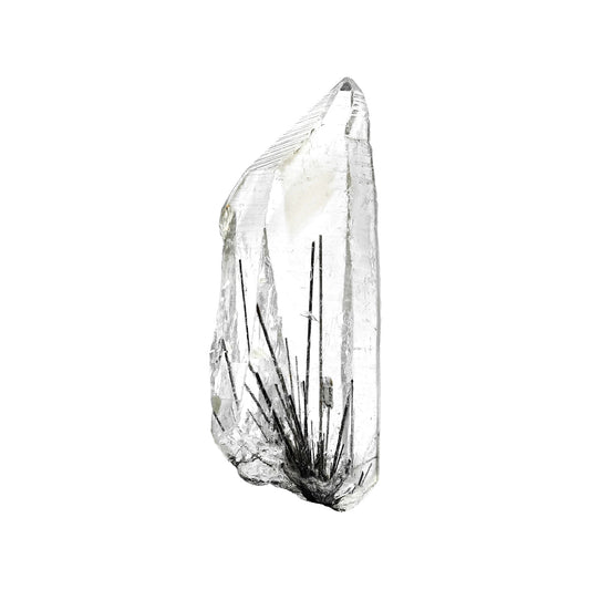 Starborn Clear Quartz Crystal with Black Rutile Collector's Corner Specimen 105 cts - 1 Piece