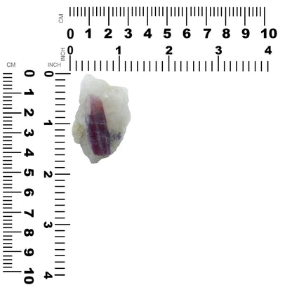 Starborn Rubellite in Quartz Collector's Corner Specimen 216.9 cts- 1 Piece