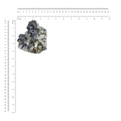 Pyrite in Quartz Crystal Collector's Corner Specimen 1,793 cts - 1 Piece
