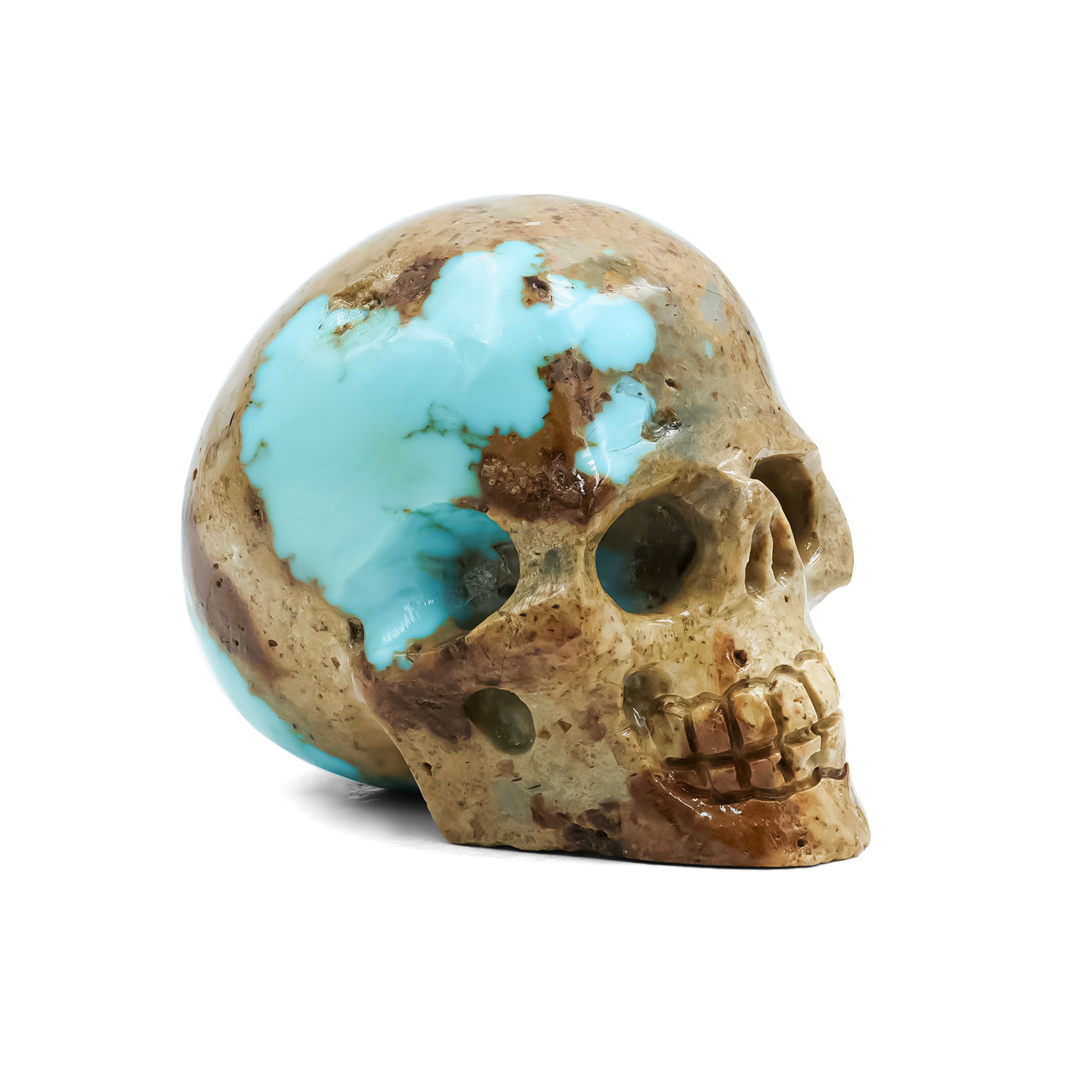 Hand Carved New Arizona Turquoise Skull Carving 172.5 cts - 1 Piece