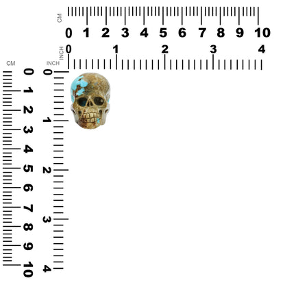 Hand Carved New Arizona Turquoise Skull Carving 172.5 cts - 1 Piece