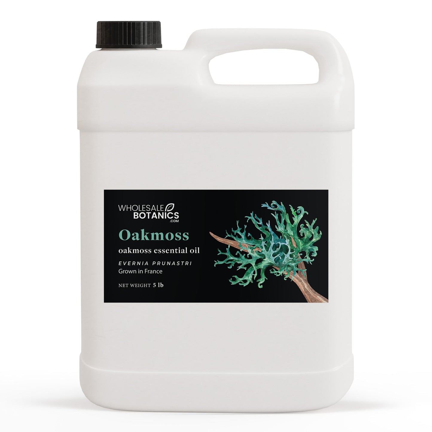 Oakmoss Essential Oil