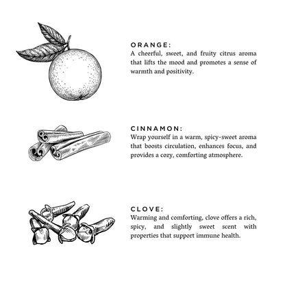 Orange + Clove - 3-Wick Candle