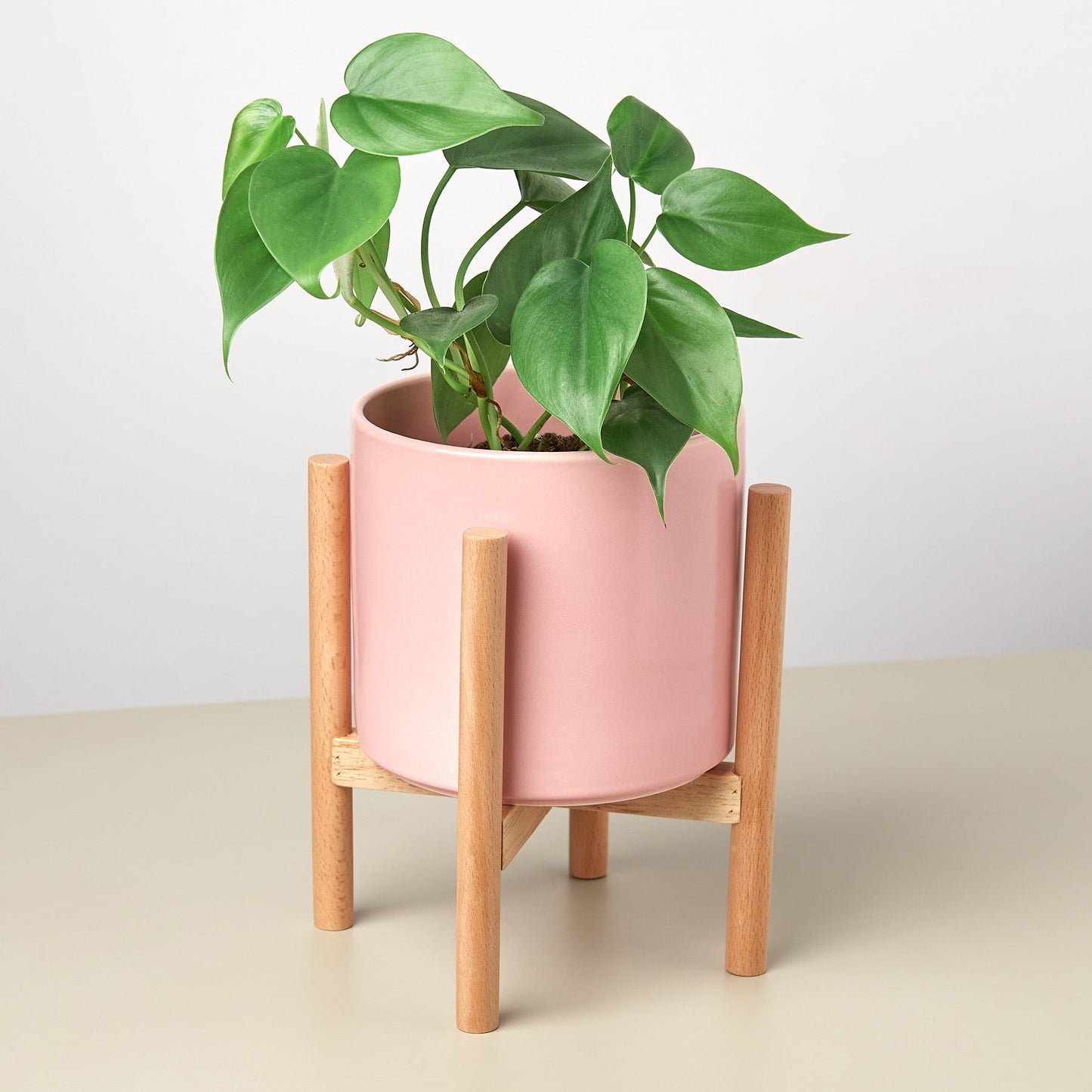 Cylinder Planter with Wood Stand - 5" Pot, multiple colors