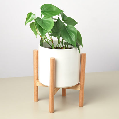Cylinder Planter with Wood Stand - 5" Pot, multiple colors