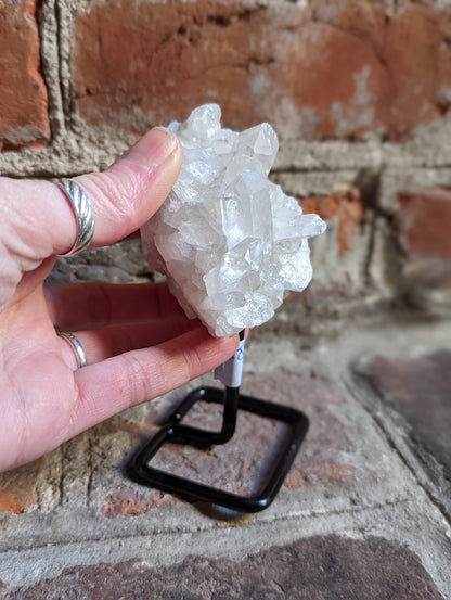 Small Raw Crystals on Metal Stand