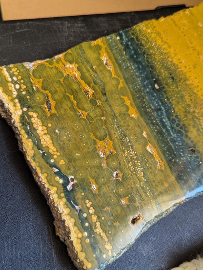 Multi-Color Rectangle Ocean Jasper Slab